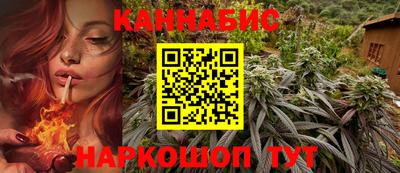 амф Гусев