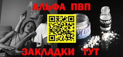 амф Гусев