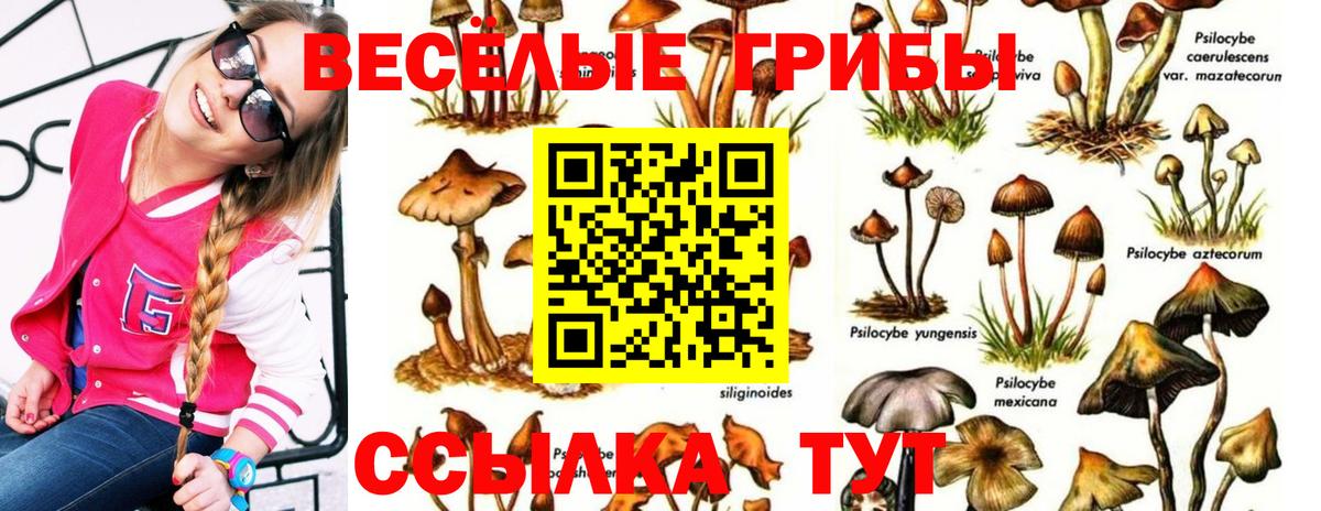 Галлюциногенные грибы мухоморы  Вход с VPN  Кимры 