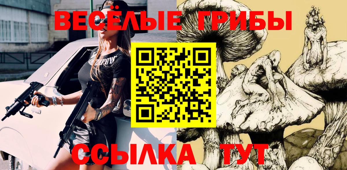 Галлюциногенные грибы Psilocybine cubensis Кимры